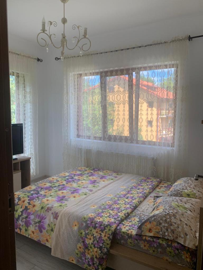 B House Busteni Bagian luar foto