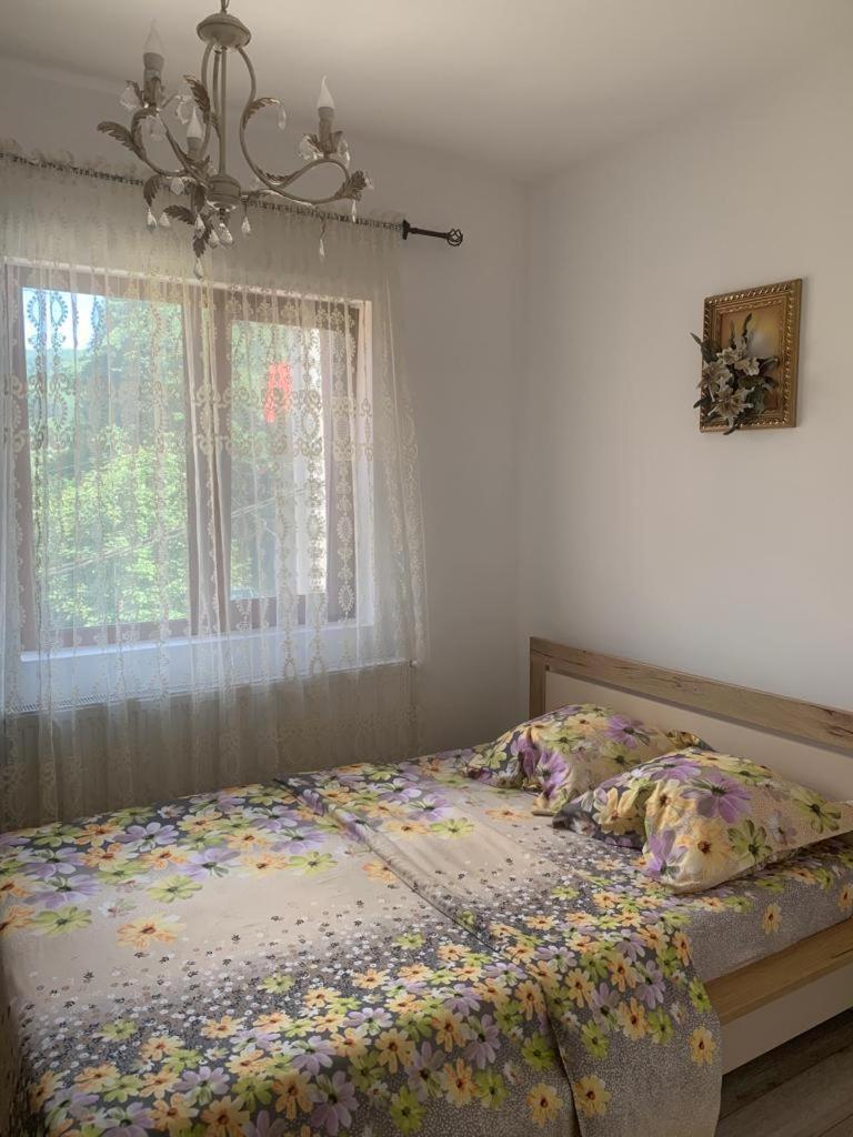 B House Busteni Bagian luar foto